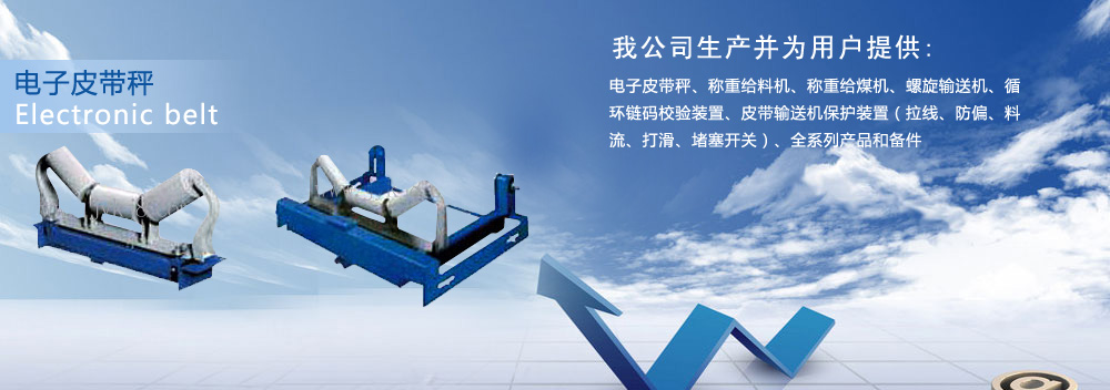 电子皮带秤,高精度阵列式电子皮带秤
